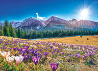 Kalendarz trójdzielny MAXI – Krokusy | J-MT 43