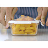 Lunchbox Delect 900 ml | RD-R08442.00