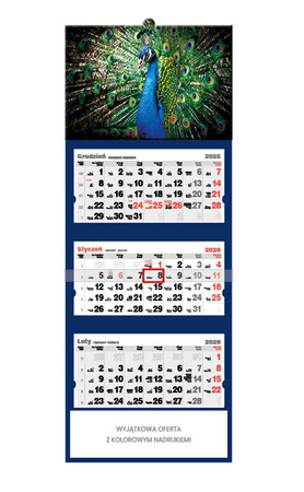 Kalendarz trójdzielny STANDARD – Paw | J-T 72 BK