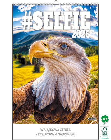 Kalendarz wieloplanszowy STANDARD – Selfie | J-WP 135