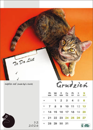 Kalendarz wieloplanszowy STANDARD – Kot w biurze | J-WP 136
