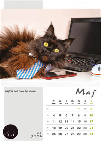 Kalendarz wieloplanszowy STANDARD – Kot w biurze | J-WP 136