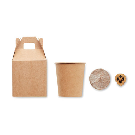 Nasiona sosny, torf, doniczka GROWTREE™ | MO-MO6228-13