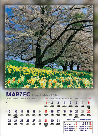 Kalendarz wieloplanszowy STANDARD – 4 pory roku | J-WP 115