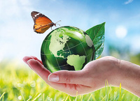 Kalendarz czterodzielny – Natura | J-C 64 BK