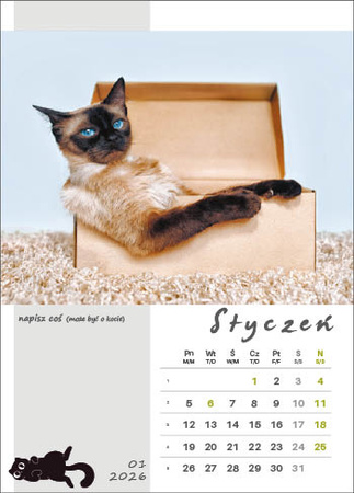 Kalendarz wieloplanszowy STANDARD – Kot w biurze | J-WP 136