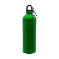 Bidon stalowy Camino 800 ml, zielony | RD-R08109.05