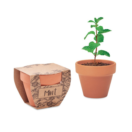 Nasiona mięty w doniczce MINT POT | MO-MO2218-40