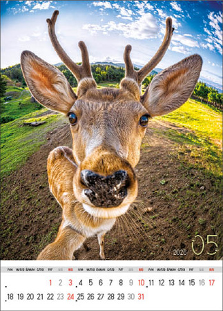 Kalendarz wieloplanszowy STANDARD – Selfie | J-WP 135