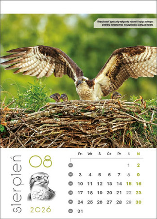 Kalendarz wieloplanszowy STANDARD – Leśne rodziny | J-WP 128