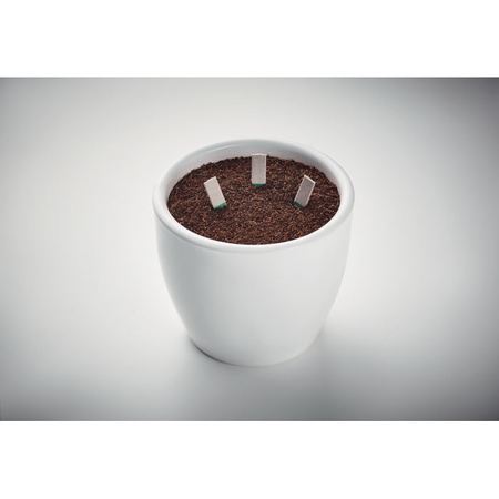 Patyczki z nasionami ziół LEYTI | MO-MO6927-13