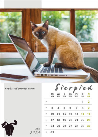 Kalendarz wieloplanszowy STANDARD – Kot w biurze | J-WP 136