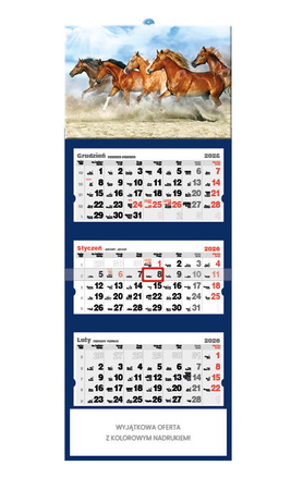 Kalendarz trójdzielny STANDARD – Konie | J-T 46 BK