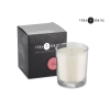 Świeca sojowa 170g - Plum & Patchouli - VERA YOUNG | BC-12102-19