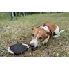 Frisbee dla psa RINGO | BC-20059-02