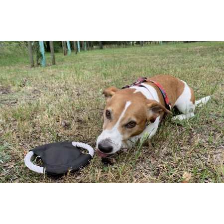 Frisbee dla psa RINGO | BC-20059-02