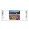 Terminarz biurkowy DWUTYGODNIOWY – Tatry | JT-TBD215