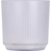 Ekspres do kawy 60 ml BATON ROUGE MoLu | EG-532903