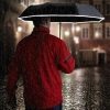 Parasol automatyczny ø95 cm CRUX Schwarzwolf | MC-F0107500AJ303