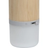 Głośnik Bluetooth HAARLEM | EG-320813