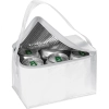 Torba termiczna na 6 puszek 330 ml ROXANNE | MC-6700406