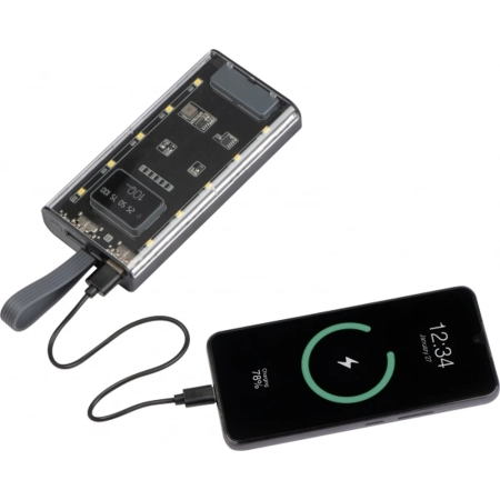 Power bank 10000 mAh DARWIN | EG-396166