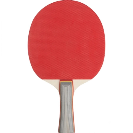 Zestaw do gry w ping ponga ZARA | MC-5357403