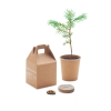 Nasiona sosny, torf, doniczka GROWTREE™ | MO-MO6228-13