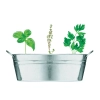 Cynkowa wanienka z nasionami MIX SEEDS | MO-MO6497-16