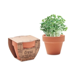 Nasiona rzeżuchy w doniczce CRESS POT MO2219-40