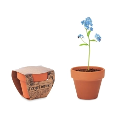 Doniczka, niezapominajka FORGET ME NOT MO6146-40