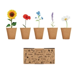 Zestaw do uprawy kwiatów FLOWERS MO6500-13