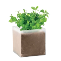 Zestaw do uprawy Mięta  MINT MO9546-13
