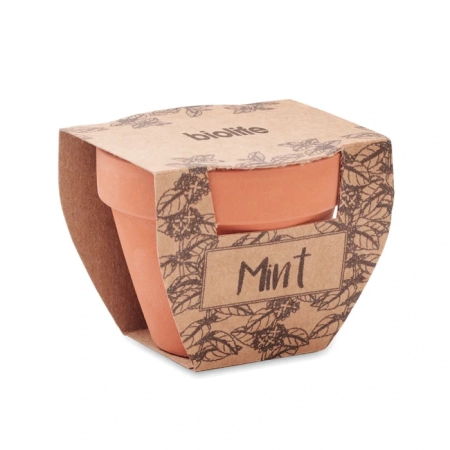 Nasiona mięty w doniczce MINT POT | MO-MO2218-40