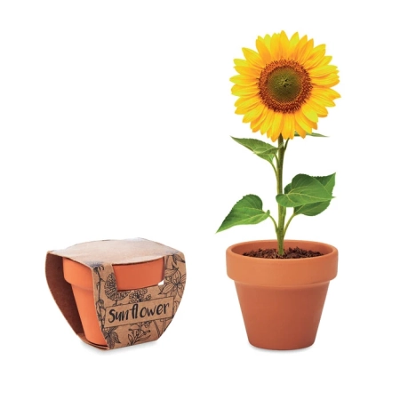Doniczka, słonecznik SUNFLOWER MO6147-40