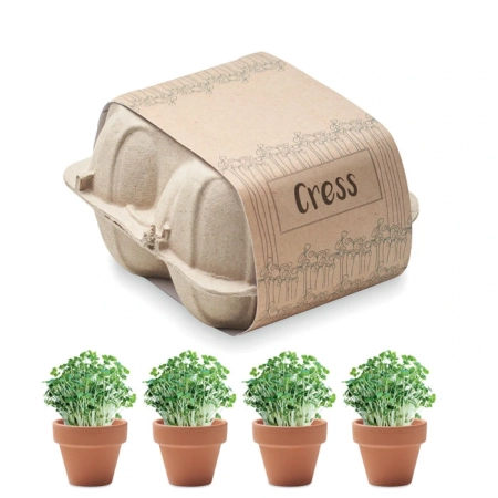 Zestaw do uprawy w kartonie CRESS MO6886-13