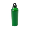 Bidon stalowy Camino 800 ml, zielony | RD-R08109.05