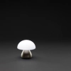 Lampka na biurko Luming, plastik z recyklingu | VA-P513.749
