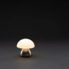 Lampka na biurko Luming, plastik z recyklingu | VA-P513.749