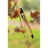 Długopis z recyklingu | VA-P610.981
