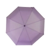 Mały parasol automatyczny 21