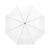 Parasol 21