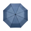 Parasol 21