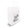 Torba papierowa A5 Dialla SX V0002/A-02
