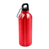 Butelka sportowa 500 ml z karabińczykiem Brenda | VA-VA099-05