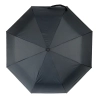Parasol 21