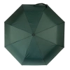 Parasol 21