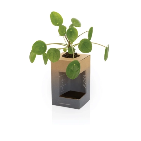 Kubek termiczny 300 ml Avira Alya | VA-P438.022