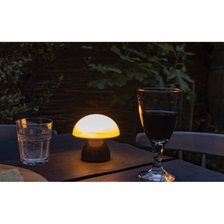 Lampka na biurko Luming, plastik z recyklingu | VA-P513.741