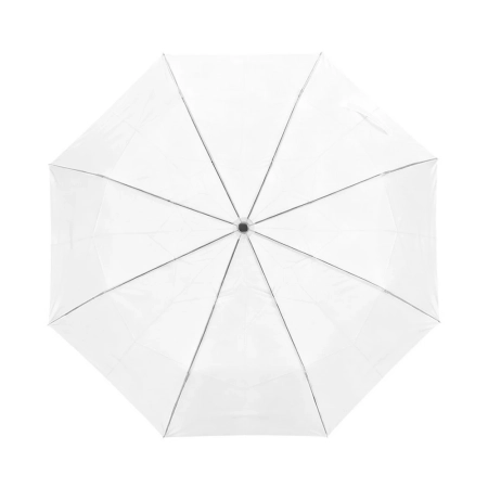 Parasol 21